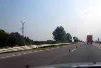 Imagine atasata: Autostrada Szeged - Budapesta - 04 - 09.2011.JPG